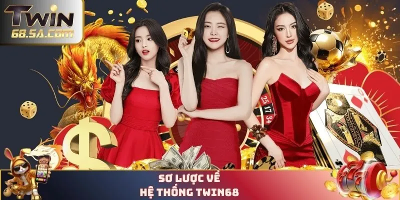 Sơ lược về hệ thống TWIN68